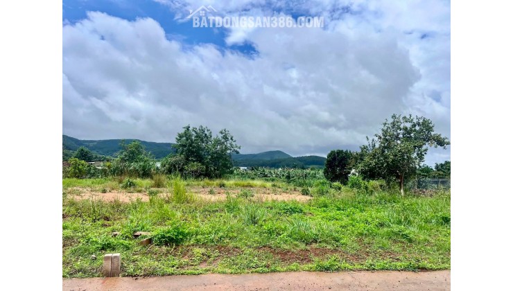Cần Bán Đất 413m² Có 221m² Thổ Cư, Nở Hậu 13,6m, View Đồi Núi Gần Đường Nhựa